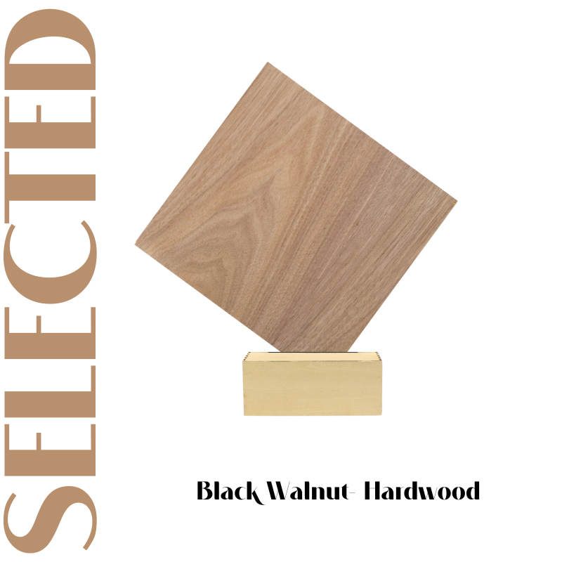 Creatorally 6pcs Black Walnut Plywood 1/8" x 11.8" x 11.8" Natural Grain
