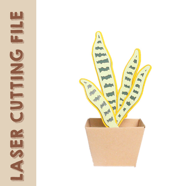 9-Style Spring's Coming Home Decor Laser Cutting File Bundle - Fresh and Vibrant Design Pack